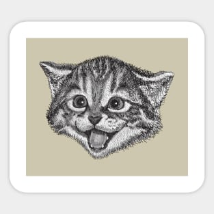 kitten art Sticker